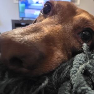 Meet your Posher, Karri